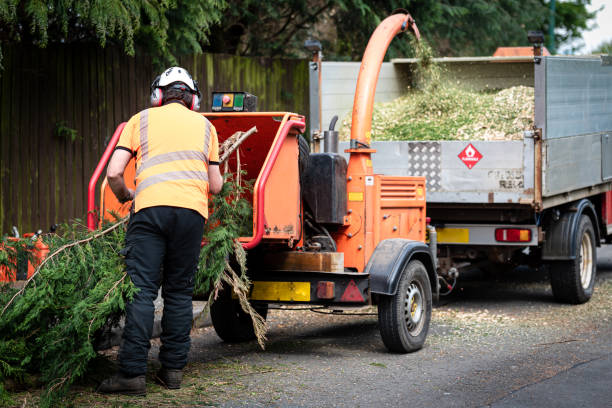 Best Leaf Removal  in Brownwood, TX